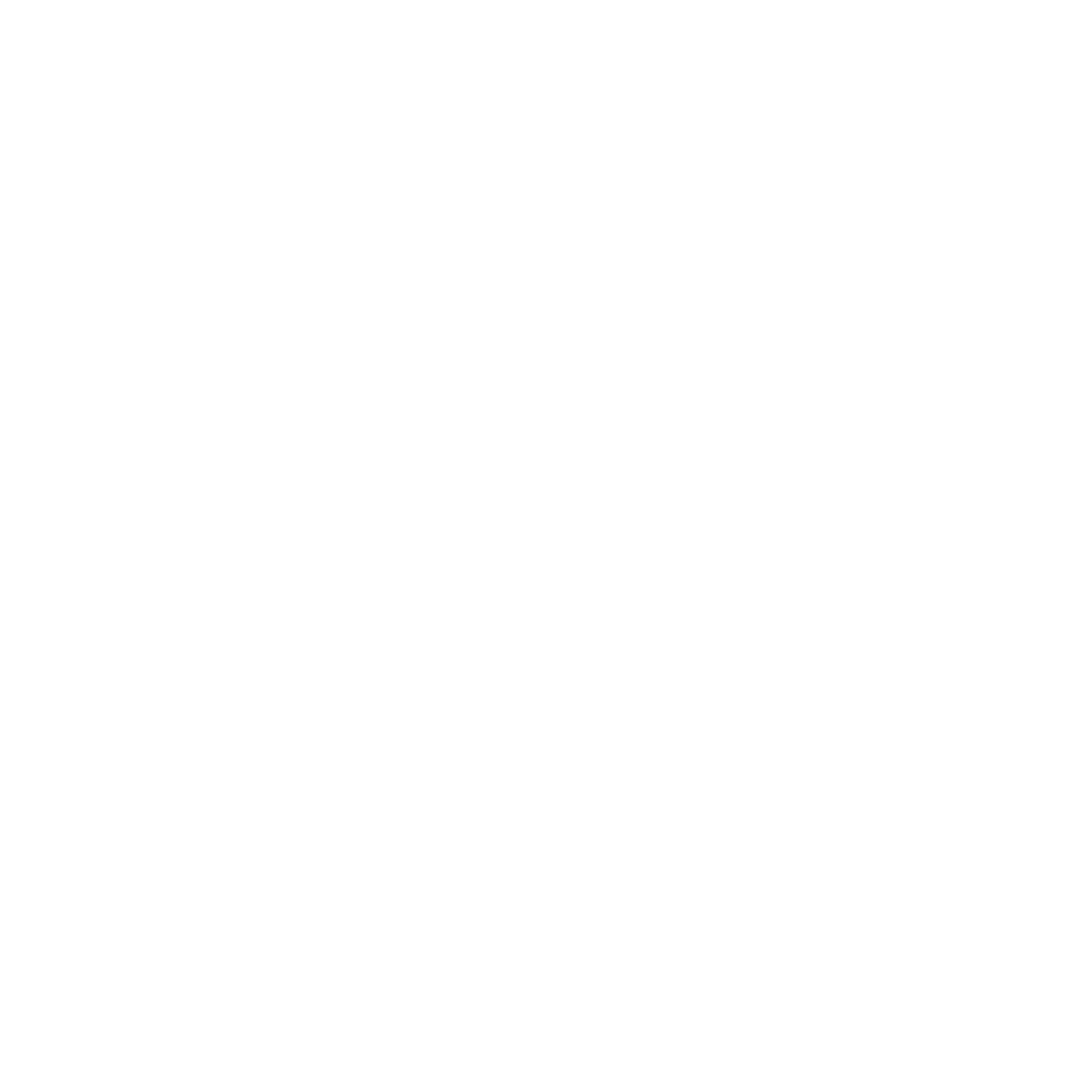 Logo (footer, wit)